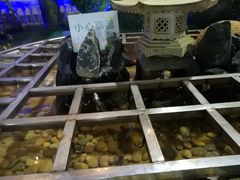 -江门古兜温泉小镇