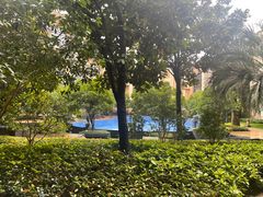 -上海浦东星河湾酒店