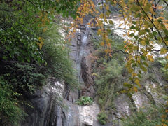iphone_upload_pic-王顺山国家森林公园