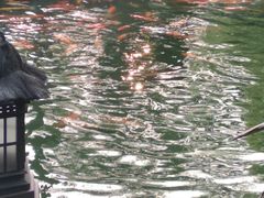 -厦门日月谷温泉渡假村