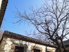-济南大明湖景区