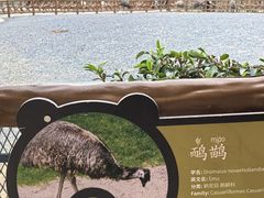 -无锡动物园·太湖欢乐园