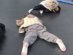 -喜杨洋草莓采摘园