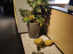 环境-小和庆·知味(首铸万科店)