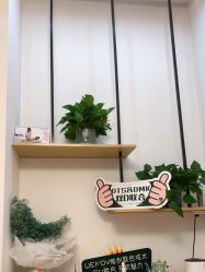 -WENDY·温迪皮肤管理