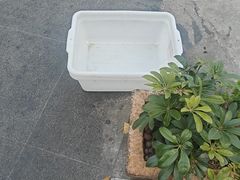 -塘屋烧烤·云南火塘烧烤品牌(春城慧谷旗舰店)