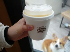 -SPARROW 家雀儿咖啡本店