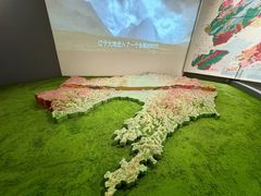 -辽宁古生物博物馆
