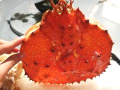 -T館·花园艺术餐厅