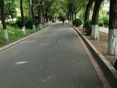-丁香湖公园