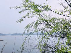 -几荷·恰似故人来(秀水广场店)