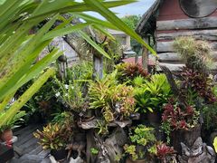 -自然餐厅(Phuket)