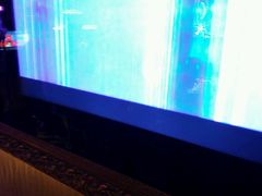 -温莎KTV(珠江路店)
