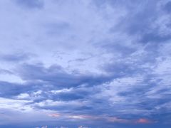 -长虫山生态公园风景林