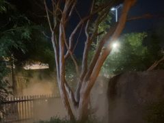 -湖南别院·美学庭院餐厅(惠阳店)