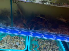 -蟹将军·松叶蟹和牛日料放题自助(K11店)