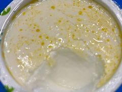 -德禄酸奶(莫家街店)