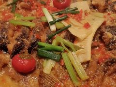 -老板恋上鱼(印象城店)