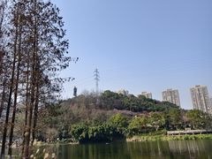 -重庆彩云湖湿地公园