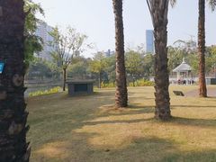 -四海公园(南山区)