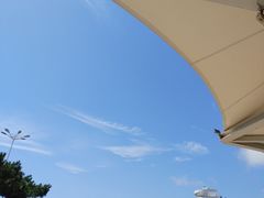 -日照世帆赛基地