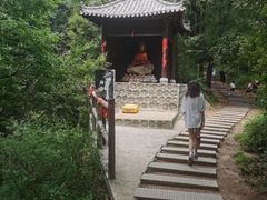 -少华山国家森林公园