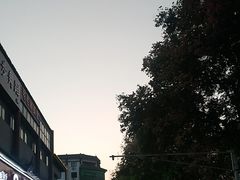 -一记洛阳菜·糖醋小排·水席(十字街店)