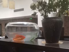 -毛家饭店·融合新湘菜·主题宴(齐鲁软件园店)