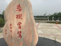 -蒲河岛湿地公园