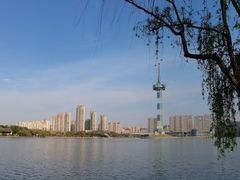 -聚龙湖公园