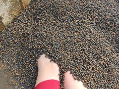 -咸宁万豪温泉谷度假区