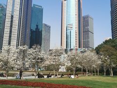 -陆家嘴中心绿地