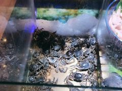 -聚盛源蒸汽海鲜火锅烤肉自助(巨川金海岸购物广场店)