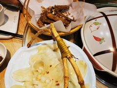 -喜上喜鸡煲翅(吉大店)