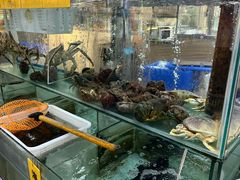 -寻味顺德·南记酒家·传统顺德菜·鱼生(广源路店)