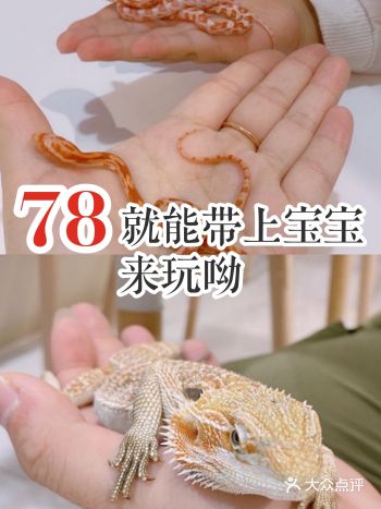 仅需78就能带萌宝来放电