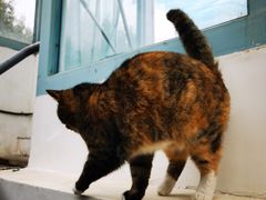 -雕刻时光·咖啡·酒吧·西餐(香山店)