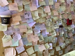-白兔子密室(长寿路店)