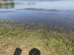 -马家湾湿地公园