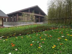 -黄龙溪欢乐田园