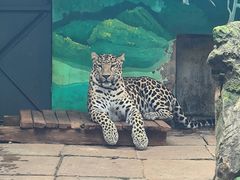 -昆明动物园
