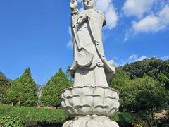 -灵光寺