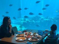 -海棠湾洲际-涛·海底餐厅·美人鱼·自助餐·海底隧道
