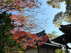 -常寂光寺