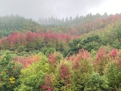 -小七孔景区-六十八级跌水瀑布
