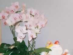 -沐森 •疗愈头疗馆(打浦桥店)