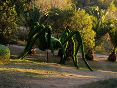 -世界恐龙谷景区