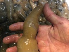 -拉完海鲜大排档(温岭店)