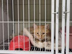 -沐沐家宠物(成寿寺店)