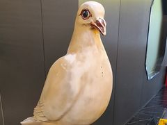-琬苑鸽庄·川粤融合菜(解放碑总店)